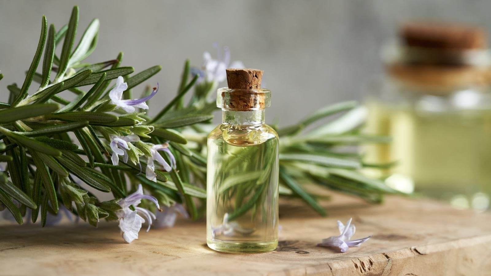 Rosemary oil for hair growth: Top 6 picks to reduce hair fall and for shiny hair Rosemary oil for hair growth: Top 6 picks to reduce hair fall and for shiny hair
