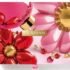 Charlotte Tilbury Advent Calendar 2026 – Contents, Price, Where to Buy
