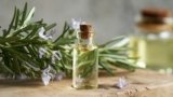 Rosemary oil for hair growth: Top 6 picks to reduce hair fall and for shiny hair