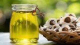 Can moringa oil boost hair growth? Know its 5 benefits for your hair and scalp health